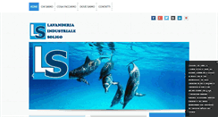 Desktop Screenshot of lavanderiaindustrialesoligo.com